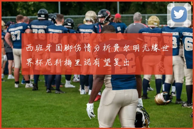西班牙国脚伤情分析费尔明无缘世界杯尼科梅里诺有望复出
